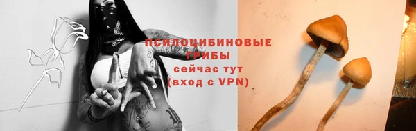 скорость Алексеевка